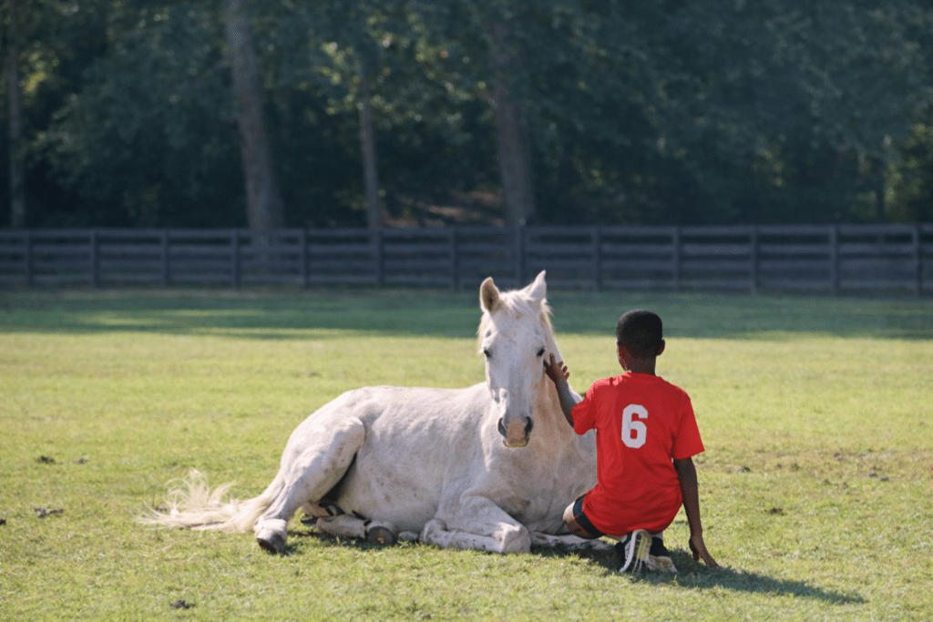 Marley - Reins of Hope Therapy Horse